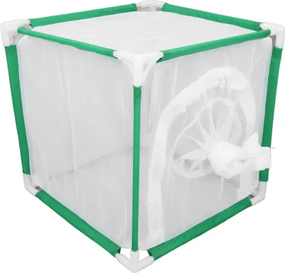 Image de Cage à papillons en forme de cube avec porte coulissante Cage à papillons portable pour activités d'intérieur et d'extérieur