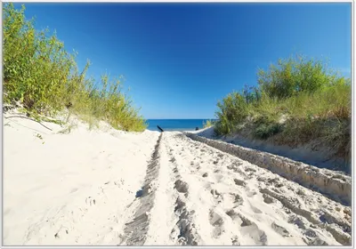 Produktbild von Wallario Wandbild Auf dem Sandweg zum Strand - Blauer Himmel über dem Meer, Größe: 70,30 x 100,30 cm, Poster mit weißem Kunststoffrahmen