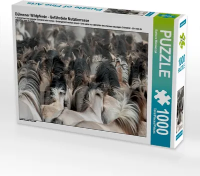 Produktbild von Calvendo Dülmener Wildpferde - Gefährdete Nutztierrasse 1000 Teile Puzzle quer 640x480mm, Mielewczyk Barbara; 7321931