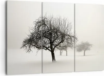 Produktbild von Bild auf Leinwand - Leinwandbild - 3 Teile - Bäume Schnee Nebel - 105x70cm - Wand Bild - Wanddeko - Wandbilder - Leinwanddruck - Bilder - Wanddekoration - Leinwand bilder - Wandbild - CE105x70-4136