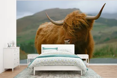 Produktbild von MuchoWow® Fototapete für Wohnzimmer oder Schlafzimmer Wandtapete Vinyl Motivtapete Schottischer Highlander - Berg - Straße - 375x280 cm - Schlafzimmer tapete