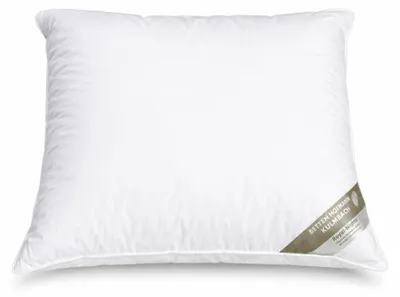 Produktbild von Hofmanns Exklusives Daunenkissen Kopfkissen 80x80 850g Kissen prall 100% Daunen