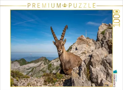 Produktbild von CALVENDO Puzzle Alpsteinpanorama | 1000 Teile Lege-Größe 64x48cm Foto-Puzzle für glückliche Stunden