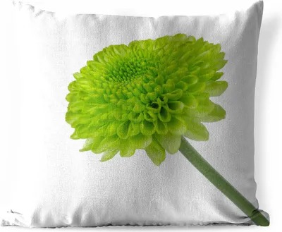 Produktbild von MuchoWow® Outdoor Kissen - Grüne Chrysantheme - 45x45 cm - Wetterfest - Lounge Kissen - Fotokissen - Dekoratives Kissen