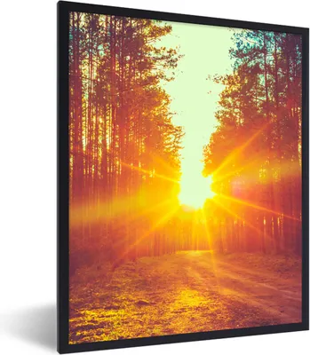 Produktbild von MuchoWow® Gerahmtes Poster Sonnenuntergang - Bäume - Wald - Natur 60x80 cm - Poster mit Schwarzem Bilderrahmen Wandposter Rahmen Foto Bilder - Premium - Wanddeko Wohnzimmer