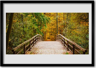 Produktbild von Bild 100x70 MDF-Rahmen Wandkunst Wald-Bridge-Architektur