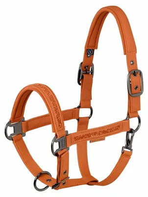 Produktbild von Eskadron Platinum 26 Faux Leder Halfter