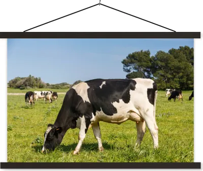 Produktbild von MuchoWow® Textilposter Kuh - Gras - Tiere - Wald 90x60 cm mit schwarzem Rahmen - Aufhängungssatz