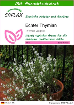 Produktbild von SAFLAX - Kräuter - Echter Thymian - 200 Samen - Mit keimfreiem Anzuchtsubstrat - Thymus vulgaris