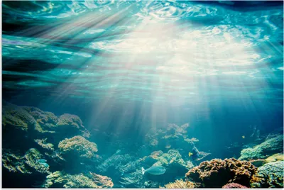 Produktbild von MuchoWow® Poster Meer - Koralle - Sonne 120x80 cm - Bilder