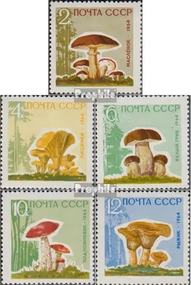 Produktbild von Briefmarken Sowjetunion 1964 Mi 2983y-2987y (kompl.Ausg.) postfrisch Pilze