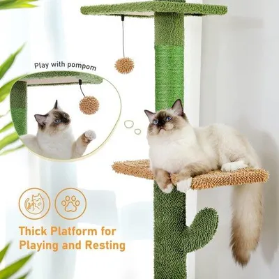 Produktbild von Famanu Kratzbaum Cactusform - Verstellbare Höhe, 5 Plattformen, Hängematte, Bälle