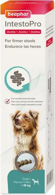 Image de Beaphar IntestoPro L pâte pour grands chiens 2x 20ml