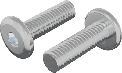 Produktbild von vidaXL Schraube 2 pcs Silber 8 x 25 mm Stahl