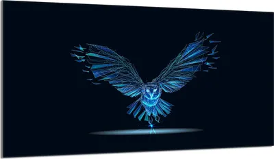 Produktbild von Herdabdeckplatte 90x52 Glaskeramikkochfeld Abdeckung Spritzschutz Glasplatte Deko Schneidebrett, Vogel Schwarz