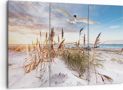 Produktbild von Bild auf Leinwand - Leinwandbild - 3 Teile - Möwe Meer Küste - 105x70cm - Wand Bild - Wanddeko - Wandbilder - Leinwanddruck - Bilder - Wanddekoration - Leinwand bilder - Wandbild - CE105x70-4902