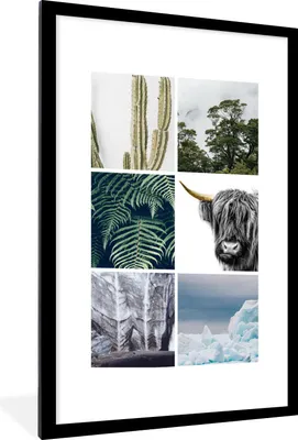 Produktbild von MuchoWow® MuchoWow® Gerahmtes Poster Schottisches Hochlandrind - Collage - Kaktus - Pflanzen 60x90 cm - Poster mit zchwarzem Bilderrahmen - Dekoration - Wandposter Wohnzimmer - Hochwertig