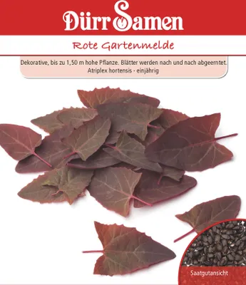 Produktbild von Rote Gartenmelde | Gartenmeldesamen von Dürr Samen