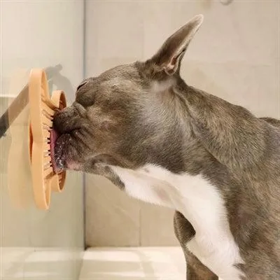 Immagine prodotto di Martin Likmat - Osso con ventose in silicone giallo