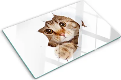 Obrázok produktu pre Sklenená ochranná doska – Kryt varnej dosky – Kryt na indukčnú dosku – 80x52 cm – Rýchle čistenie – Tvrdené sklo – Cat