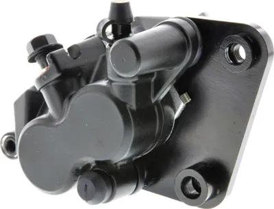 Image de Étrier de frein avant, double piston - pour disque de frein de 220 mm