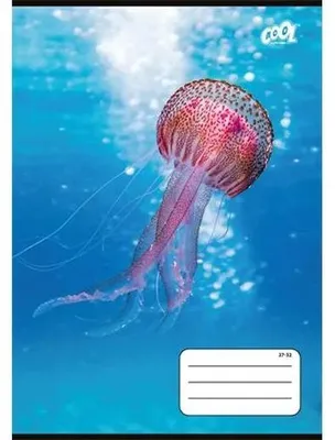 Obrázok produktu pre Zošit, A5, štvorčekový, 32 listov, COOL BY VICTORIA "Ocean World", "27-32"
