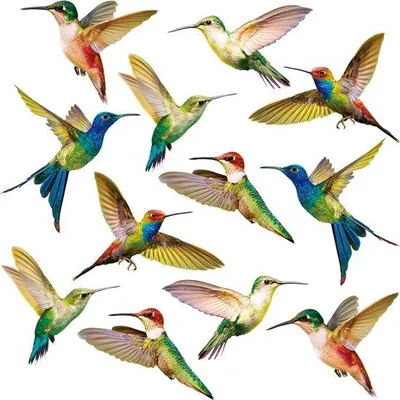 Produktbild von Vogelbotsingsstickers voor glas, 18 stuks, anti-botsing, raamstickers