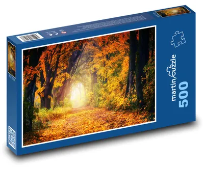 Obrázok produktu pre Puzzle 500 Cesta jesenným lesom - martinpuzzle