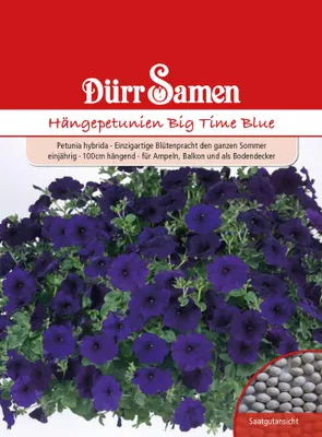 Produktbild von Dürr-Samen - Petunien Big Time Blue dunkelblau einjährig 100 cm - Saatgut - 1982