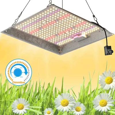 A grow light suspended above grass and daisies, with a dimmer control dial graphic.