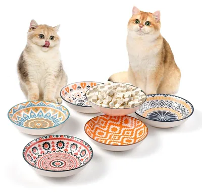 Image de Omgoods - Ensemble de 6 gamelles pour chats en céramique, de différentes couleurs