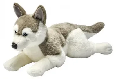 Produktbild von Anima Plüschtier Husky Plüschschicht 60 cm