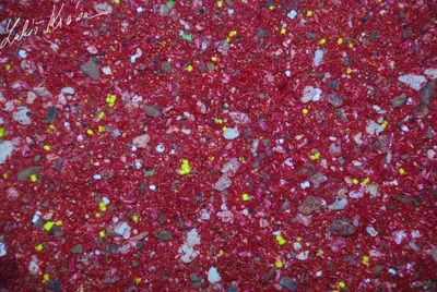 Produktbild von LK Baits IQ Methode Mix Fisch 1,5kg