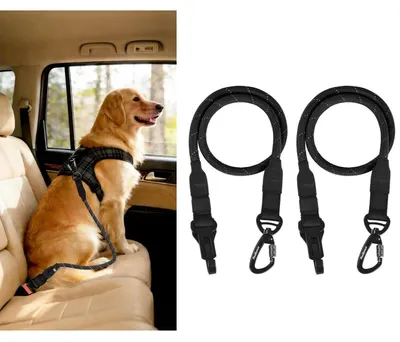 Immagine prodotto di Cinture di sicurezza per cani, 2 pezzi, nere, riflettenti, 95 cm