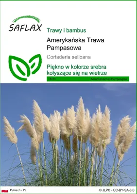 Zdjęcie produktu dla SAFLAX - Amerykańska Trawa Pampasowa - 200 Nasiona - Cortaderia selloana