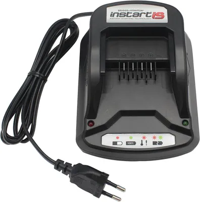 Produktbild von Ladegerät Briggs & Stratton für Instart IS Rasenmäher (593562)
