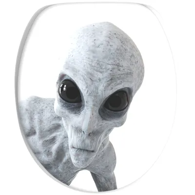 Imagen del producto de SANILO® Asiento de inodoro con sistema de cierre automático "Alien"