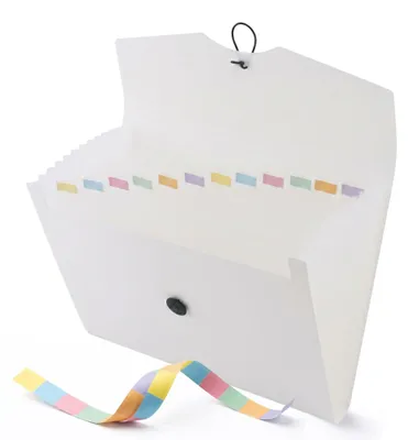Produktbild von D.RECT Dokumentenmappe A4 - Fächermappe 12 Fächer und Gummizug - Schwarz