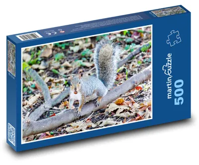 Obrázok produktu pre Puzzle 500 Sivá veverička na vetve - martinpuzzle