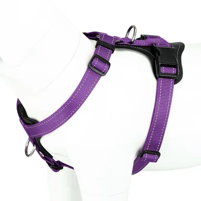 Produktbild von Verstellbarer Hundegeschirr – Reflektierend und rutschfest