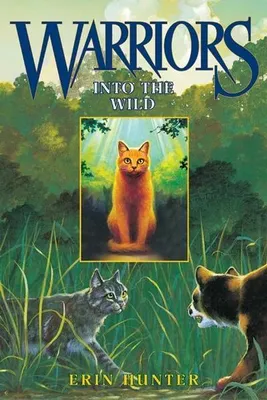 Produktbild von Into the Wild
