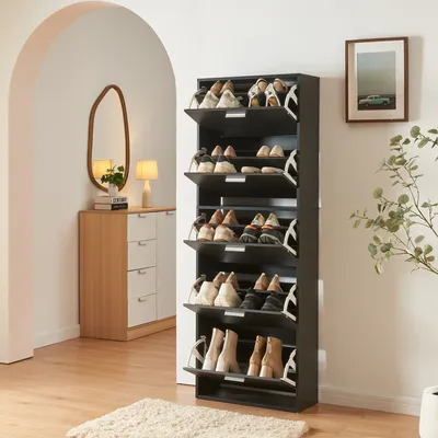 Obrázok produktu pre Skriňa na topánky "Sykkylven" s 5 chlopňami 169 x 60 x 24 cm čierna