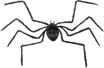 Produktbild von XXL Deko Spinne 120cm Kunststoff Schwarz