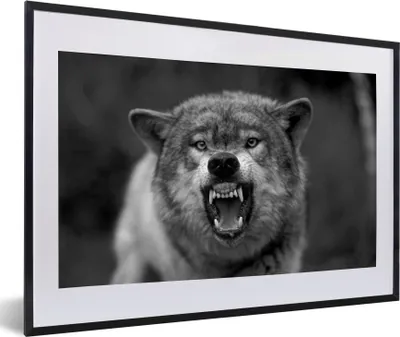 Produktbild von MuchoWow® MuchoWow® Gerahmtes Poster Böser Wolf - schwarz und weiß 60x40 cm - Poster mit zchwarzem Bilderrahmen - Schlafzimmer - Plakat in Rahmen - Drucken