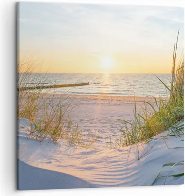 Produktbild von Bild auf Leinwand - Leinwandbild - Düne Strand Meer - 50x50cm - Wand Bild - Wanddeko - Wandbilder - Leinwanddruck - Bilder - Kunstdruck - Wanddekoration - Leinwand bilder - Wandkunst - AC50x50-3989