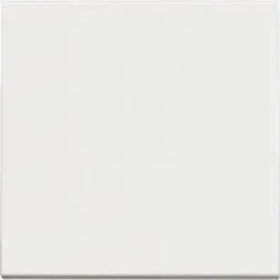 Obrázok produktu pre Jednokontaktný Spínač 2 Moduly Rw4001M2 Classia Legrand - Biely