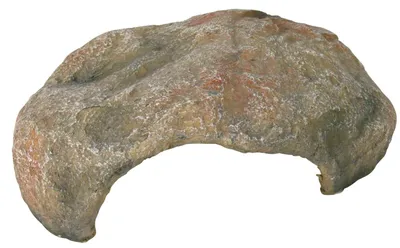 Produktbild von TRIXIE Reptilienhöhle - diverse - 27 × 10 × 22 cm