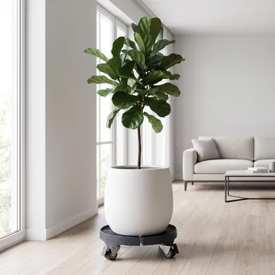 Zdjęcie produktu dla UISEBRT, szara, regulowana wózkowa platforma do roślin, 39–52 cm, udźwig do 300 kg, koła obrotowe o 360° z hamulcami, do użytku w ogrodzie, na tarasie i w pomieszczeniach