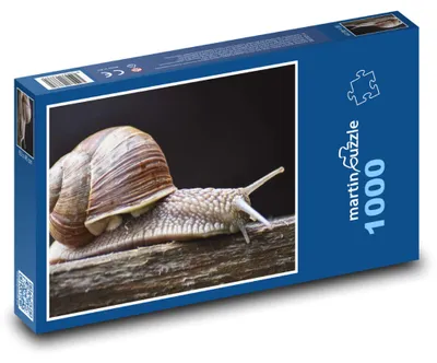 Obrázok produktu pre Puzzle 1000 Pleziaci sa slimák - martinpuzzle