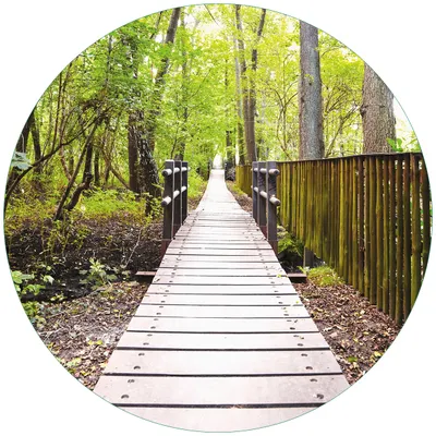 Produktbild von Wallario Premium Glasbild, freischwebende Optik, kräftige Farben, rund 50cm Durchmesser, Motiv Spaziergang im Wald  Holzweg über einen Fluss